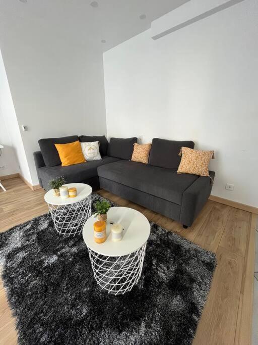 Superbe Appartement Moderne En Rez-De-Chaussee Ozoir-la-Ferrière Buitenkant foto