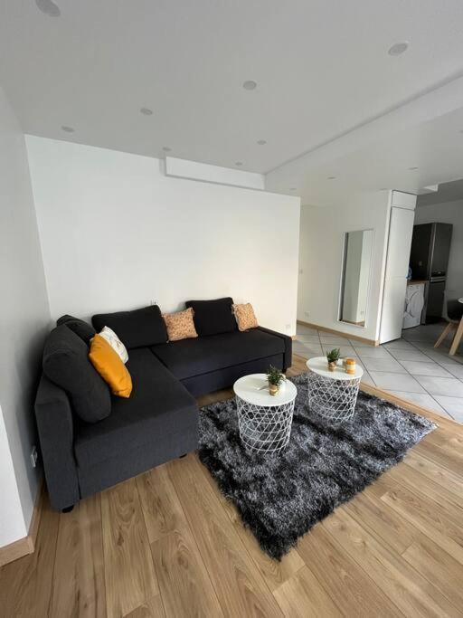 Superbe Appartement Moderne En Rez-De-Chaussee Ozoir-la-Ferrière Buitenkant foto