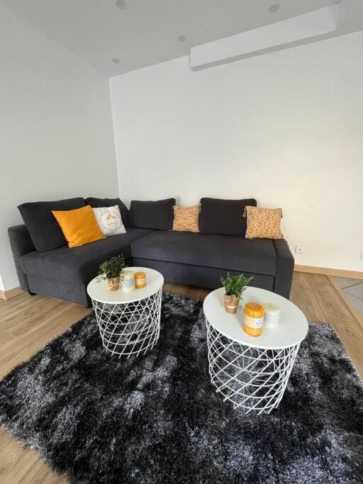 Superbe Appartement Moderne En Rez-De-Chaussee Ozoir-la-Ferrière Buitenkant foto