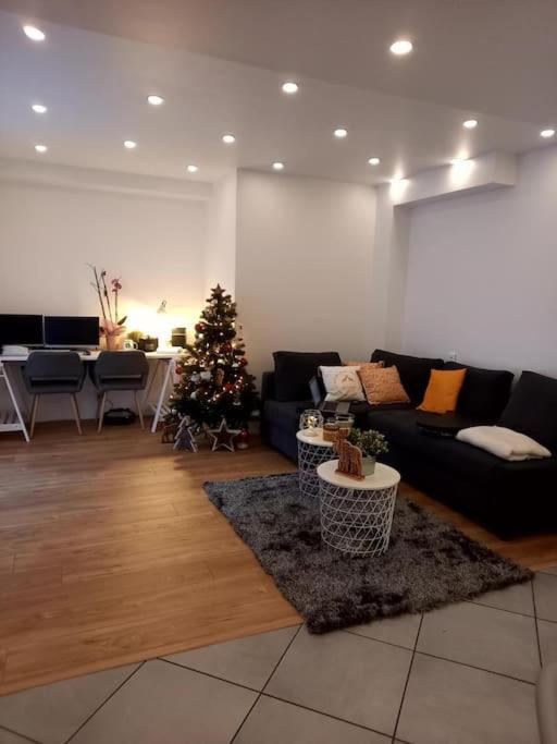 Superbe Appartement Moderne En Rez-De-Chaussee Ozoir-la-Ferrière Buitenkant foto